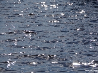 Mary Lake